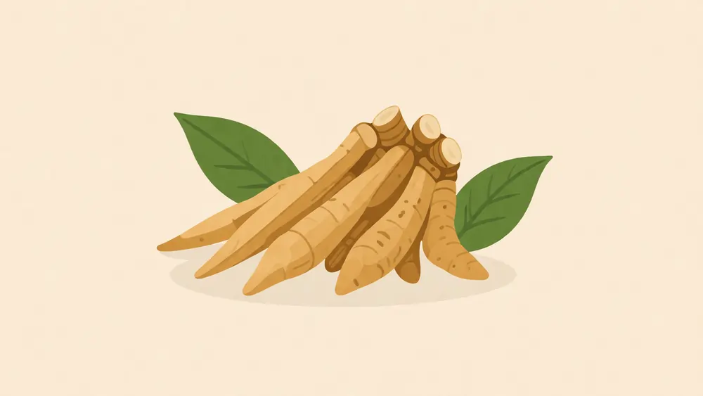 fingerroot-vs-krachai-vs-chinese-ginger.webp