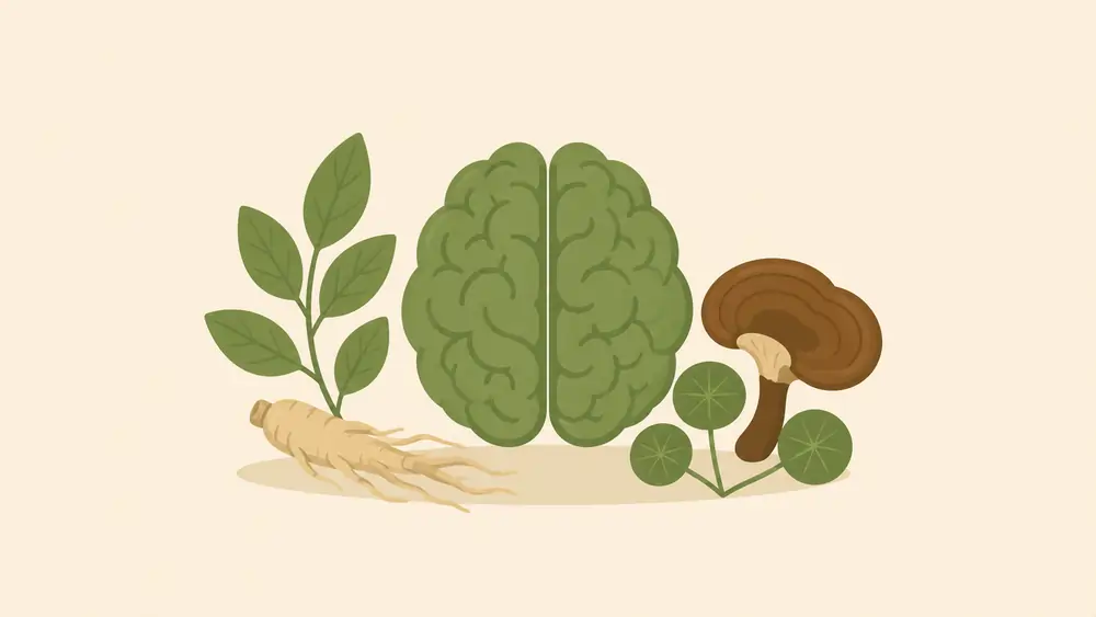 Ancient Asian Herbs for Studying