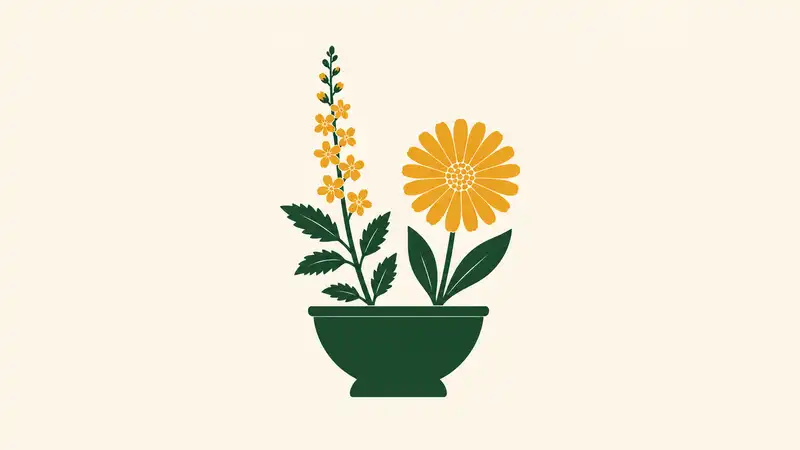 Agrimony vs Calendula