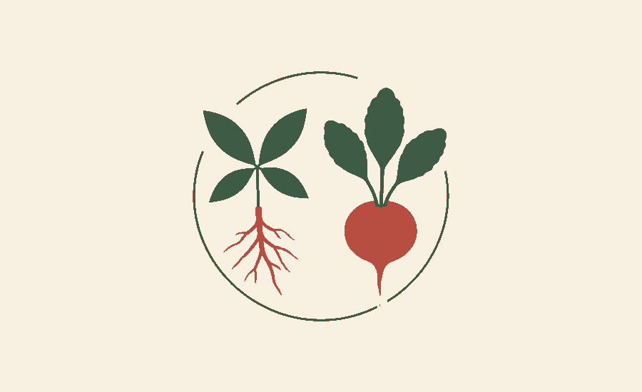 Red Sage vs Beetroot Supplement
