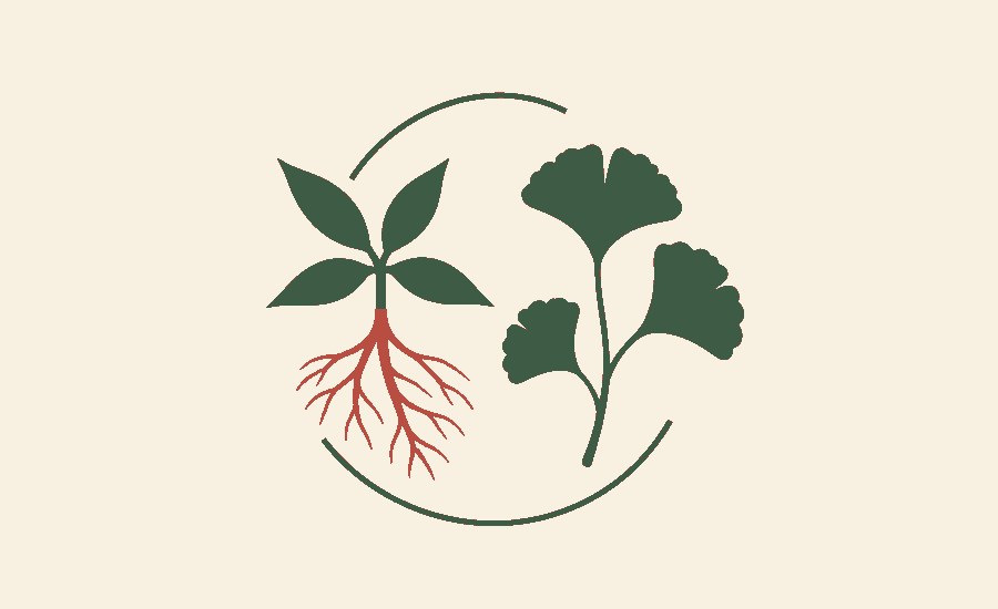 Red Sage vs Ginkgo Biloba